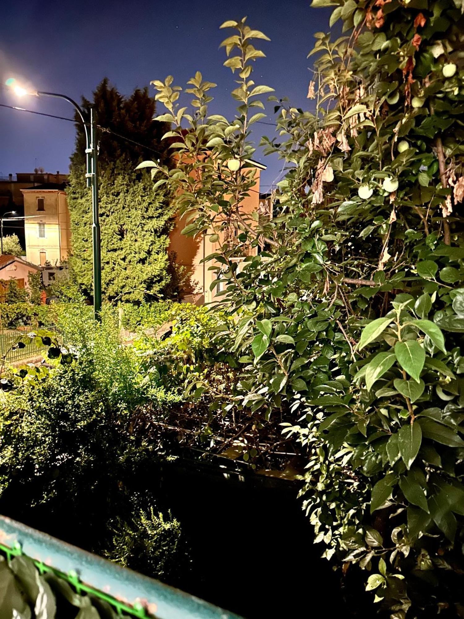 Casa Clara Apartment Маргера Екстериор снимка